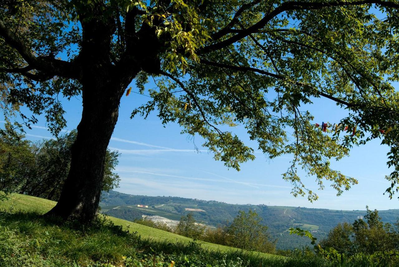 Tenuta Delo Relais Werona Zewnętrze zdjęcie