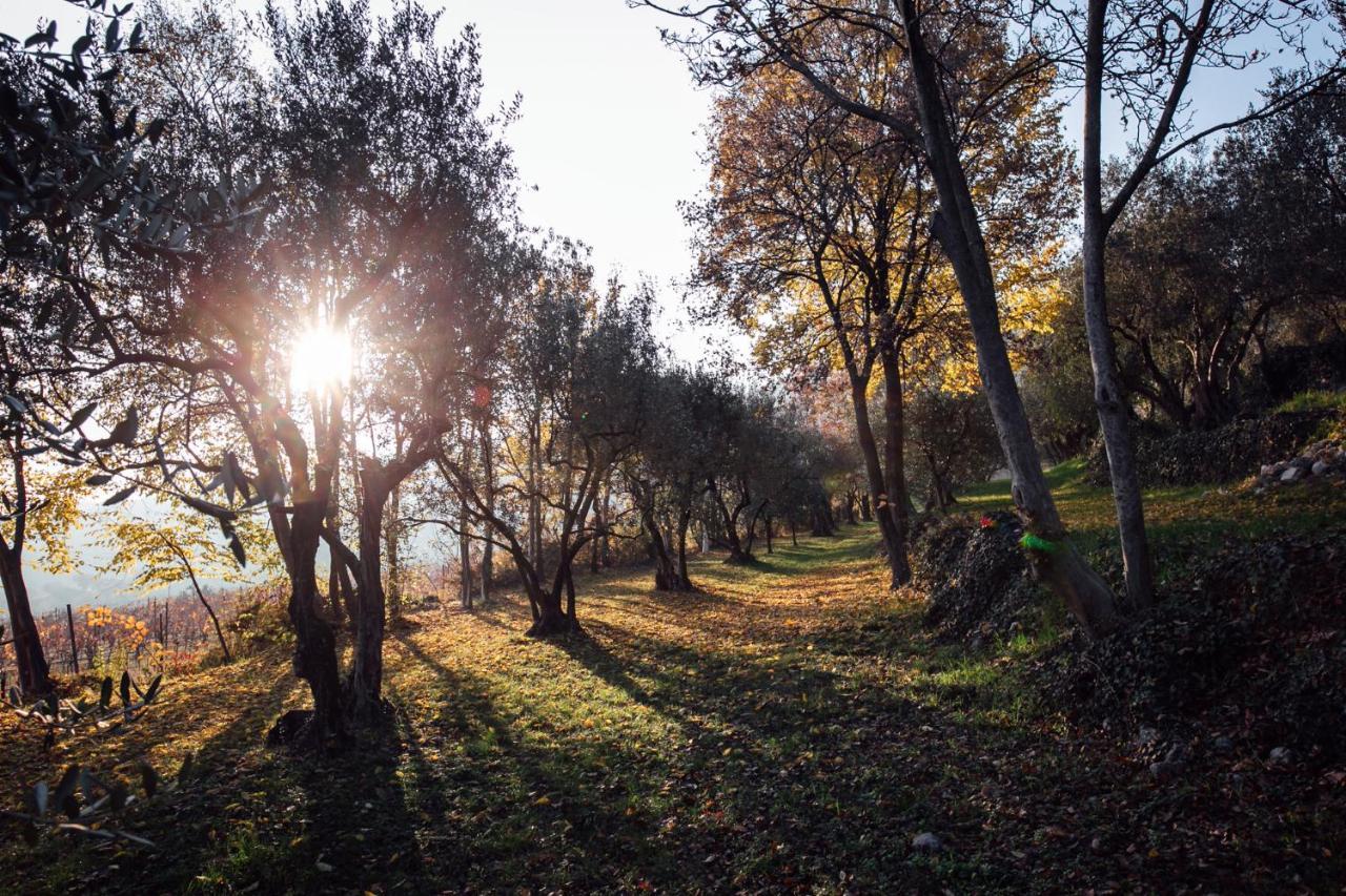 Tenuta Delo Relais Werona Zewnętrze zdjęcie